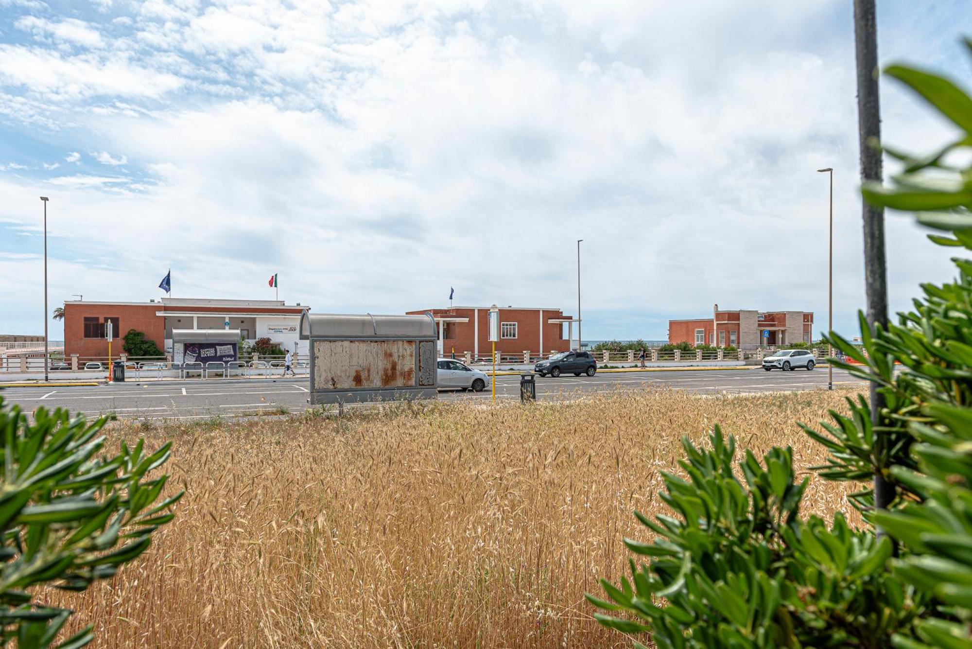 Villino Dei Coralli Lido di Ostia Bagian luar foto