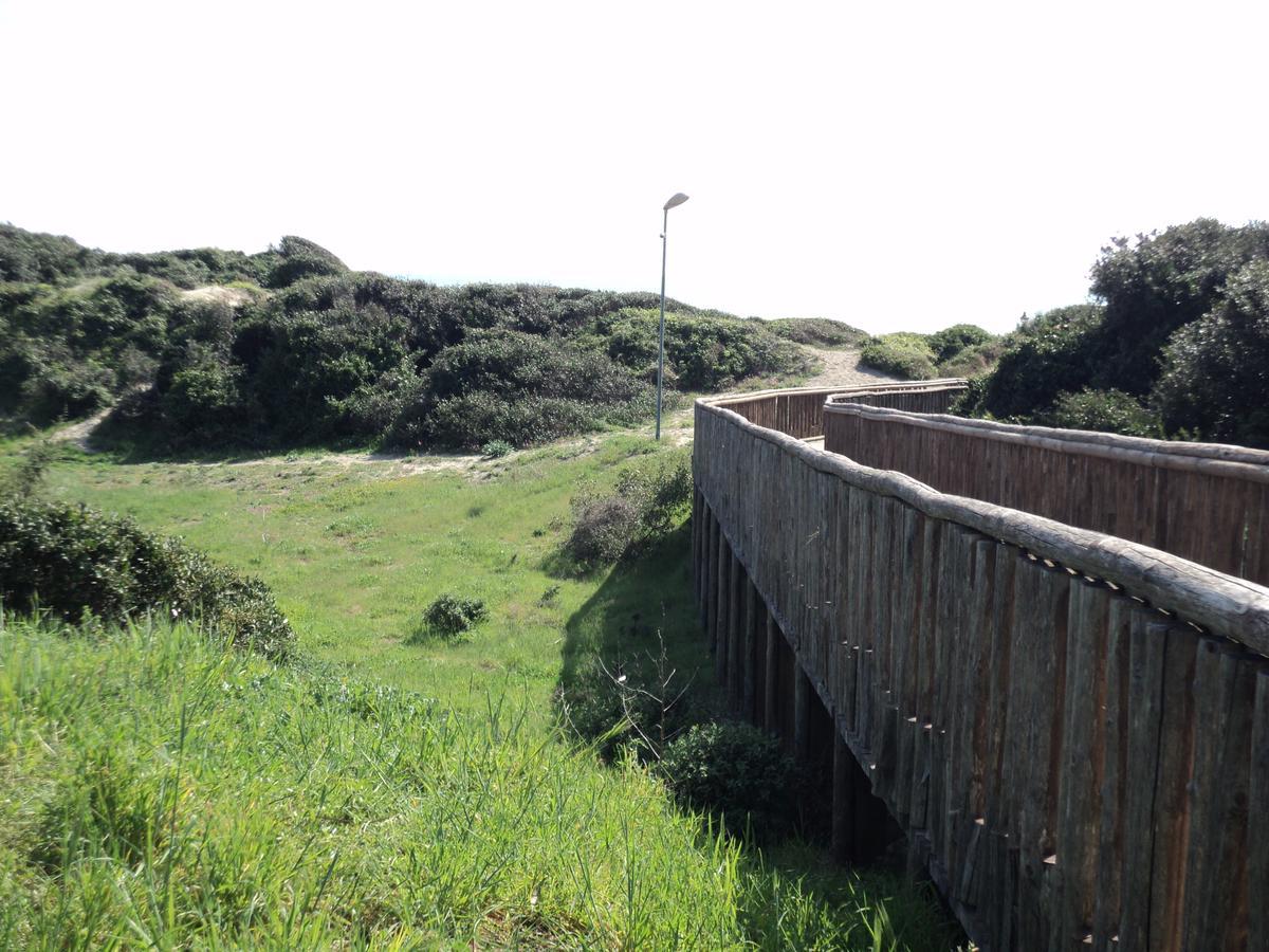Villino Dei Coralli Lido di Ostia Bagian luar foto