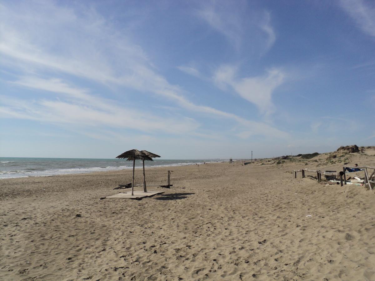 Villino Dei Coralli Lido di Ostia Bagian luar foto