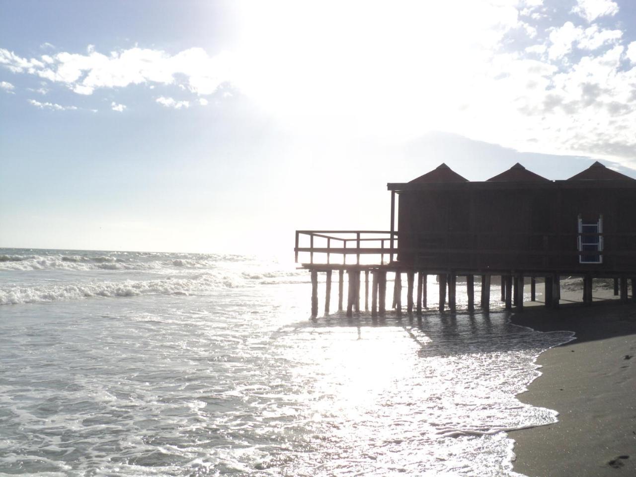 Villino Dei Coralli Lido di Ostia Bagian luar foto